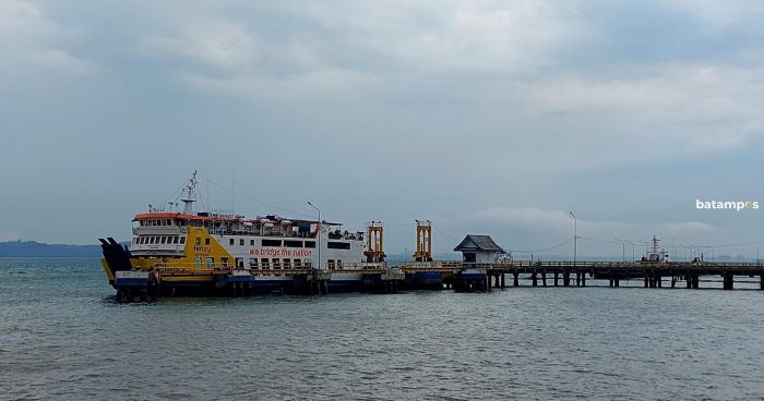 Dua Kapal RoRo Rute Tanjunguban-Telagapunggur Jalani Perawatan