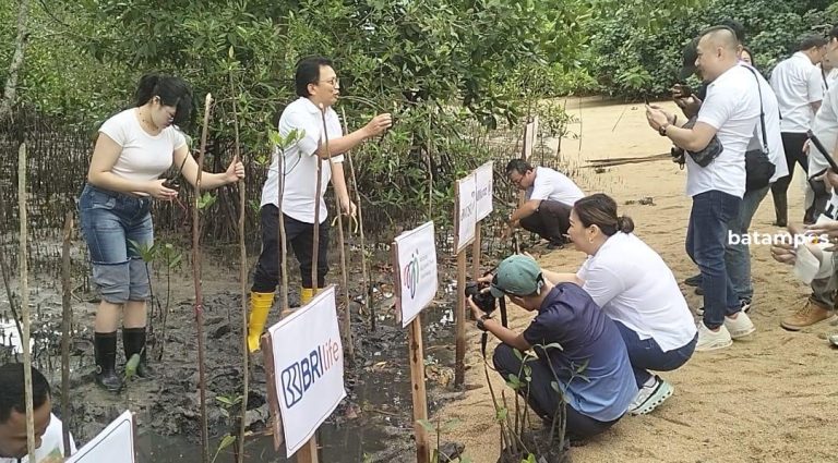Top Agen Awards Ke-37, AAJI Tanam 800 Bibit Mangrove di Nongsa