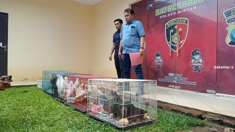 Polisi Gagalkan Penyelundupan Satwa Dilindungi