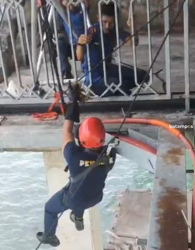Kucing yang Terjebak di Jembatan Dompak, Damkar Turun Tangan