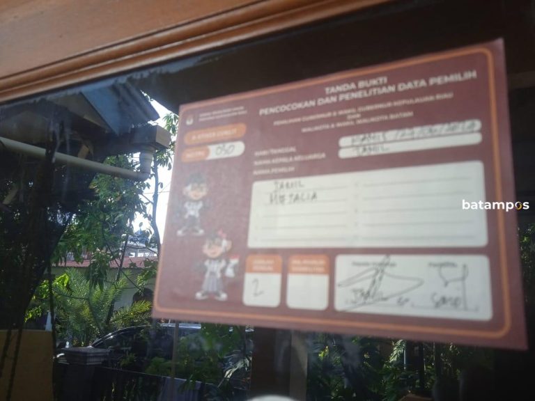 Generasi Milenial Dominasi Pemilih di Pilkada Batam 2024, Ini Jumlah Pemilih Gen Z dan X