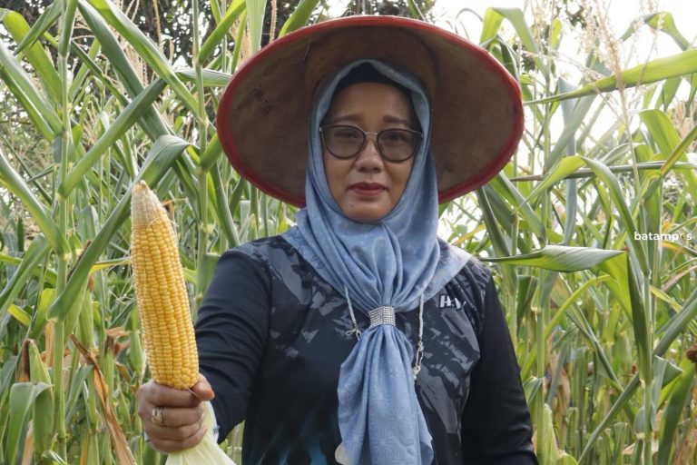 Screen House Bakal Dibangun di Tembeling dan Toapaya, Bintan