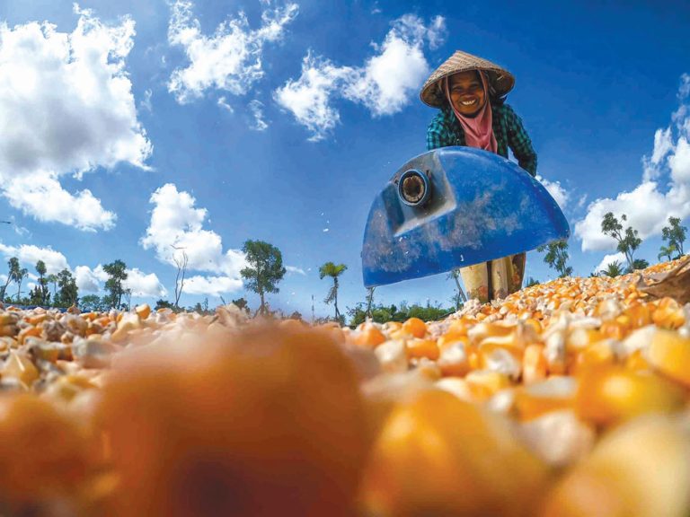 MenkoPMK Usulkan Nasi Jagung sebagai Diversifikasi Pangan