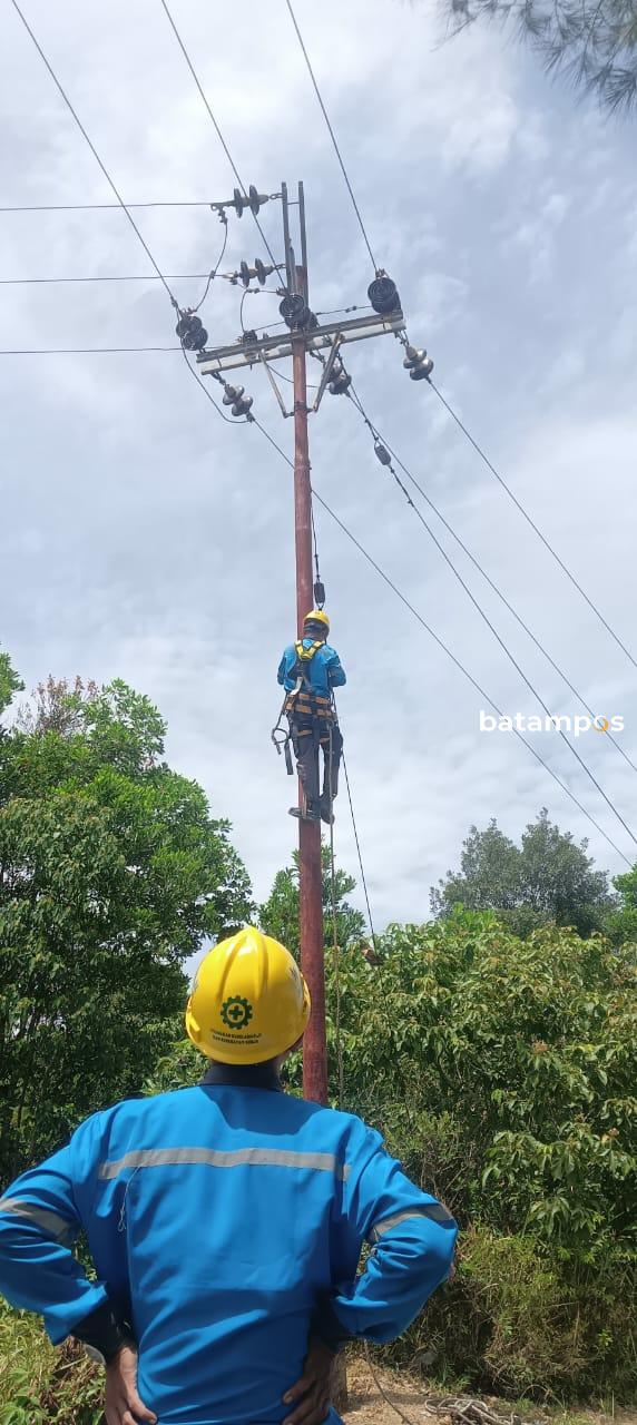 Pohon Tumbang Timpa Jaringan Listrik, Desa Mantang Lama dan Baru Padam