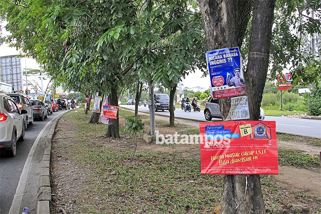 Baru Ditata, Pohon Penghijauan di Batuaji Kembali Marak dengan Tempelan Baliho