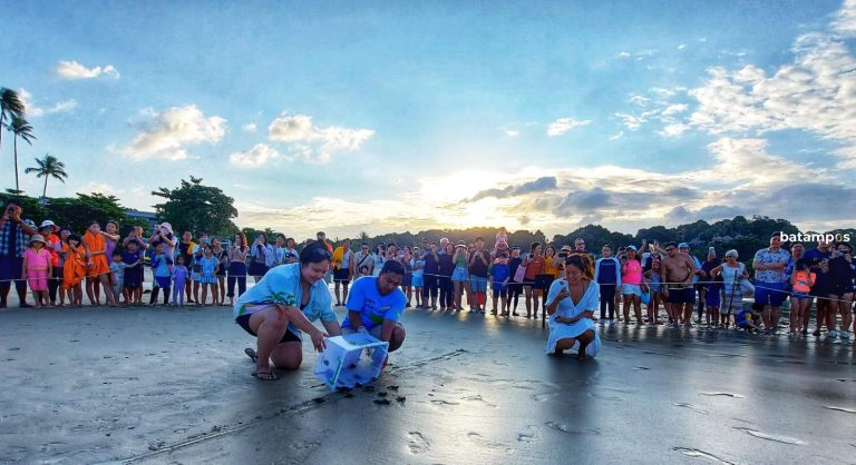 Pelepasan Tukik di Pantai Laguna, Lagoi Jadi Daya Tarik Wisatawan