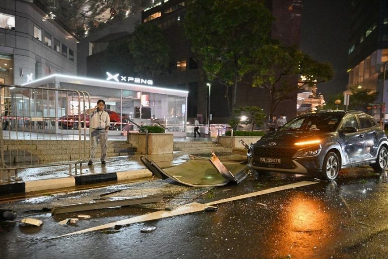 Badai Landa Singapura, Pohon Tumbang hingga Kanopi Rusak di Berbagai Area