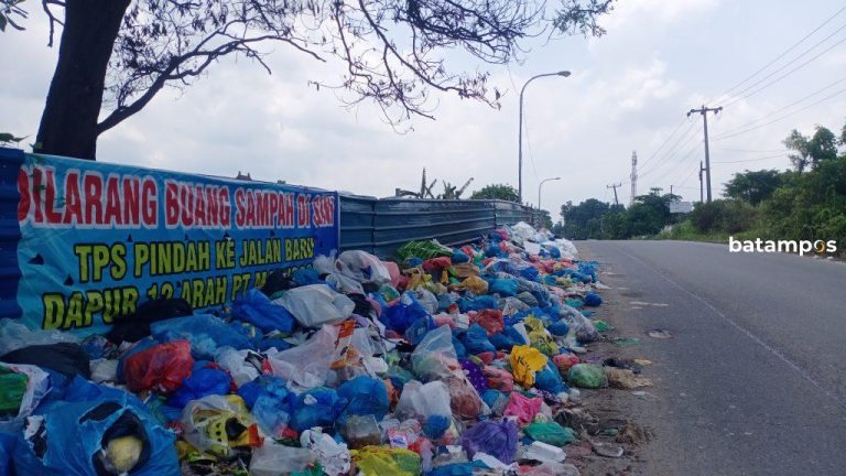 Sampah di Pinggir Jalan Sulit Diatasi