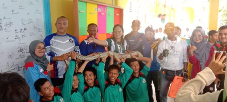 Ular Sanca Batik dengan Panjang 2,5 Meter Muncul di SMP 2 Karimun