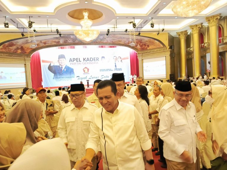 Nurdin Basirun Alihkan Dukungan ke Ansar-Nyanyang di Pilgub Kepri