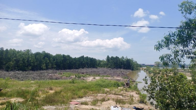 Ganggu Lokasi Resapan Air dan Sungai, Proyek Pengembangan Marina Semakin Mengkhawatirkan