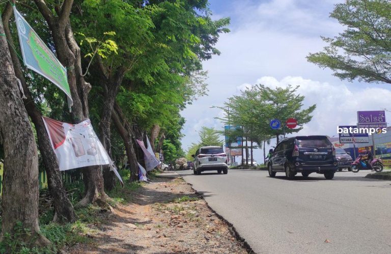 Minim Penertiban, Iklan Liar di Batang Pohon Kian Menjamur