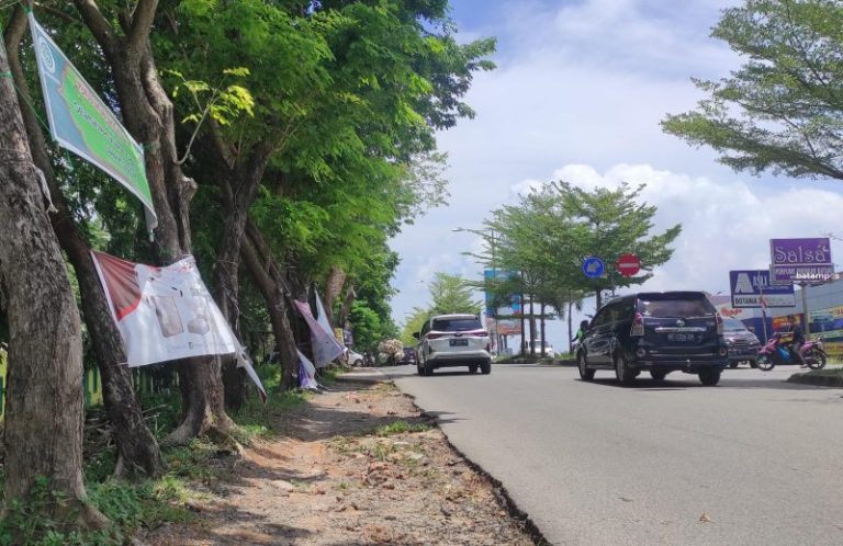 Masih Banyak Pelanggaran Reklame Nonbillboard di Batam, Ombudsman Desak Tindakan Tegas Bapenda