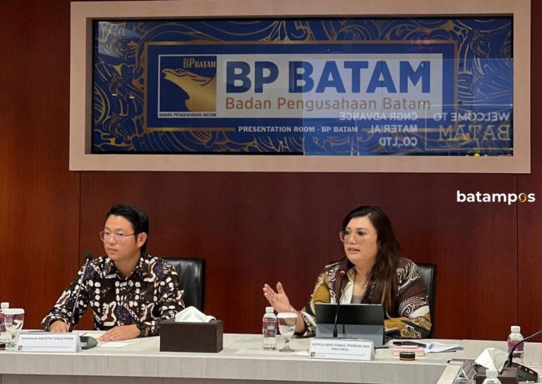 Tiongkok Bidik Investasi Hilirisasi Timah di Batam