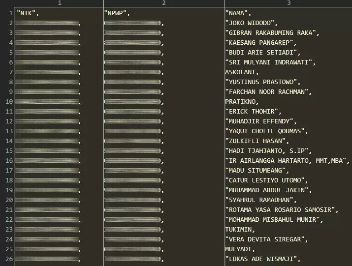 Kembali Berulah, Hacker Bjorka Acak-acak Data DJP, NPWP Jokowi, Gibran, Kaesang, hingga Sri Mulyani