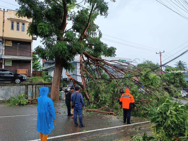 Hujan, Dahan Pohon Patah Timpa Pemotor Wanita