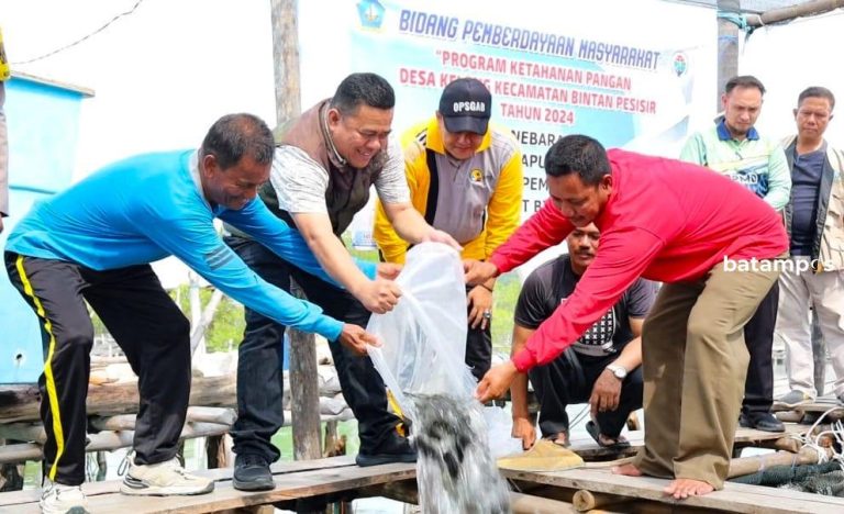 Dorong Produksi Perikanan Lokal, Ronny Tebar 1.200 Benih Ikan Kerapu Cantang di Desa Kelong