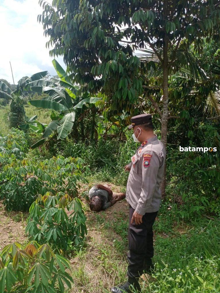 Penghuni Panti Jompo Tewas di Kebun, Kapolsek Galang: Tidak Ada Kekerasan