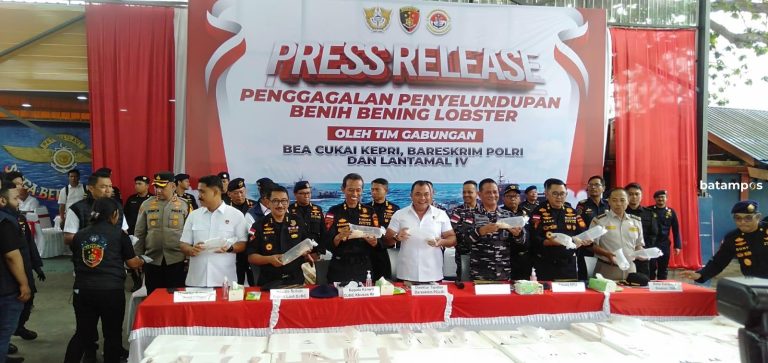 Penyelundupan Ratusan Ribu Ekor Benih Lobster Digagalkan