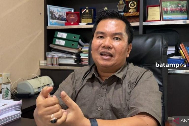 Apindo Serukan Kewaspadaan Ekonomi, Soal Adanya Permintaan Kenaikan UMK Batam Tahun 2025