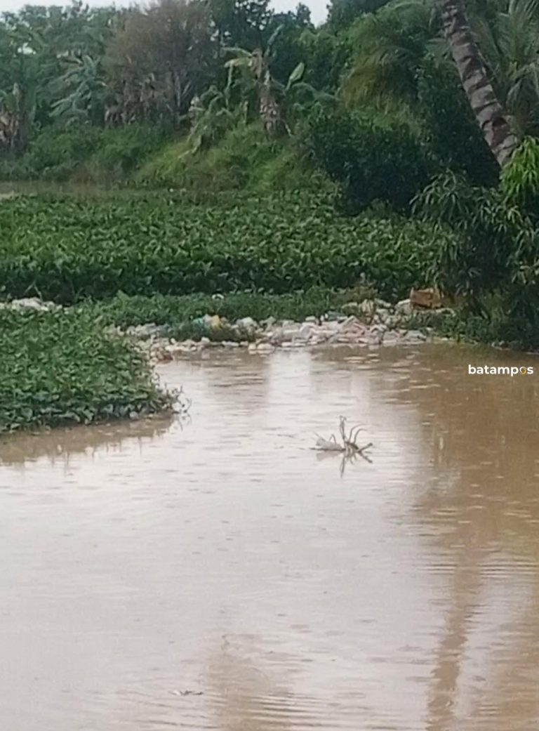 Sampah Rumah Tangga Menghambat Aliran Air di Drainase Induk Belakang Kantor Kelurahan Buliang