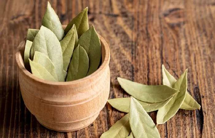 Cara Membuat Teh Daun Salam dan Manfaatnya untuk Kesehatan