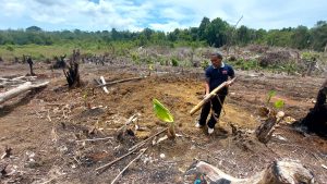 Beli Tanah dari Kredit Macet Nasabah BRI, Warga Bintan Kesal Tanah Malah Diklaim PT BMW
