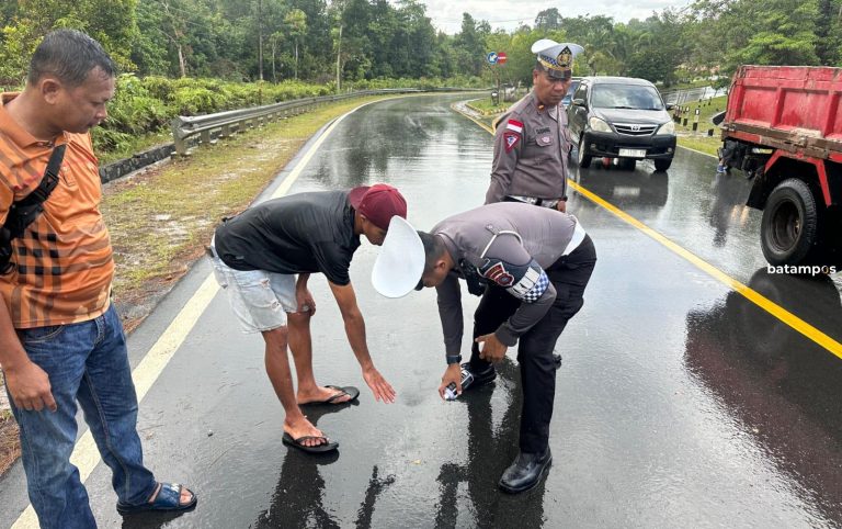 Kronologi Ayah dan Ibu Tewas, Anak Luka Berat Setelah Tabrakan dengan Truk di jalan Lintas Barat, Bintan