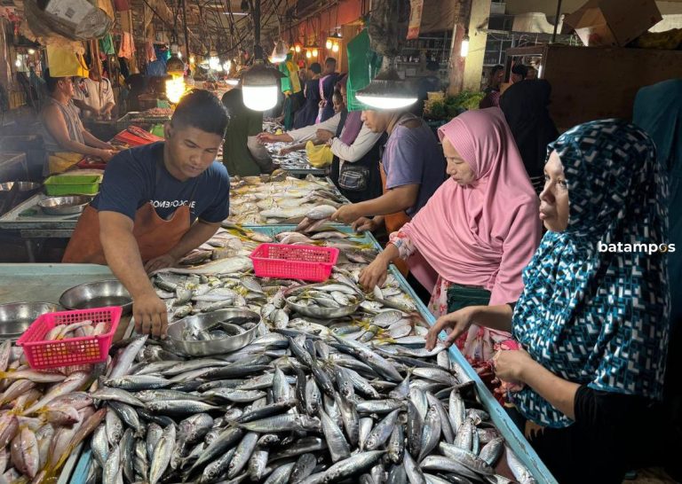 Dinas Perikanan Batam Pastikan Stok Ikan Aman untuk Program Makan Bergizi Gratis