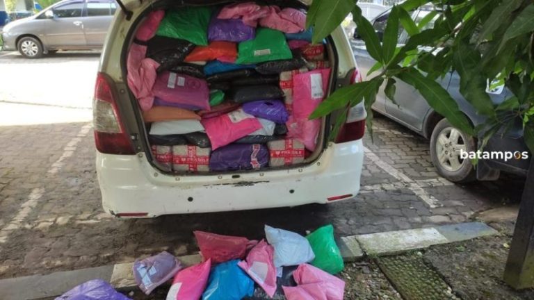 Bea Cukai Batam Tegah 2 Mobil yang Bawa Barang Selundupan di Pelabuhan Punggur