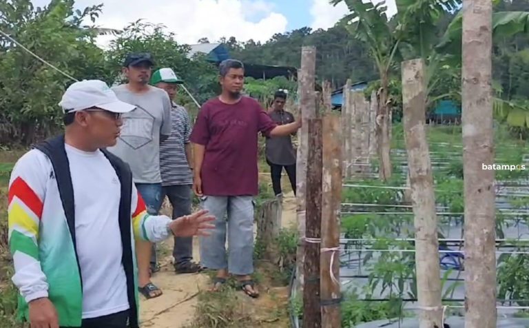 Rusli Effendi Ingin Anambas Mandiri di Bidang Pangan, Tak Andalkan dari Luar Daerah