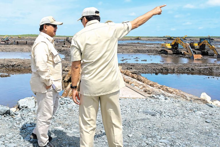 Presiden Prabowo ke Merauke Percepat Upaya Swasembada Pangan