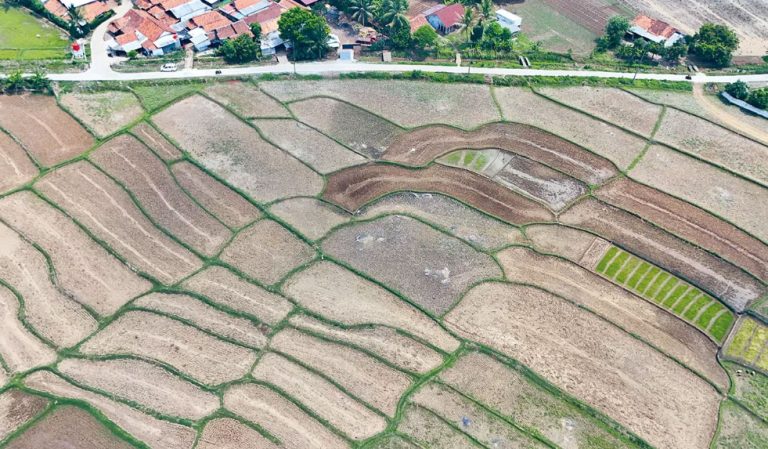 Pemerintah Bangun Jaringan Irigasi