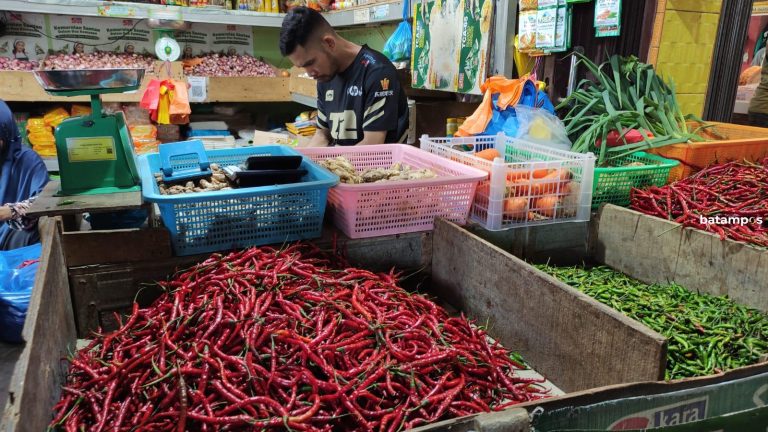 Harga Bahan Pokok Dipastikan Stabil Jelang Nataru
