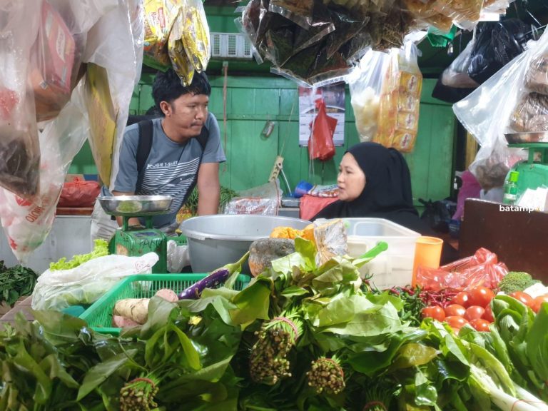 Masuk Musim Hujan, Harga Sayur di Anambas Tembus Rp 50 Ribu per Kilo