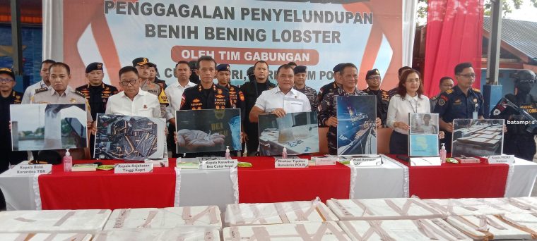 Satgas Benih Bening Lobster Tangkap 4 Penyelundup