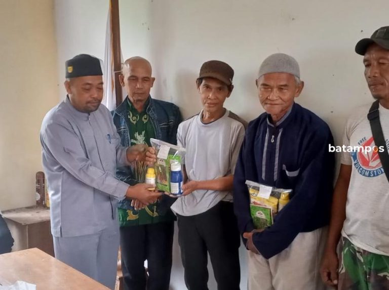 Pemdes Tarempa Selatan Beri Bantuan Bibit, Petani Diminta Bisa Optimalkan Produk Pertanian
