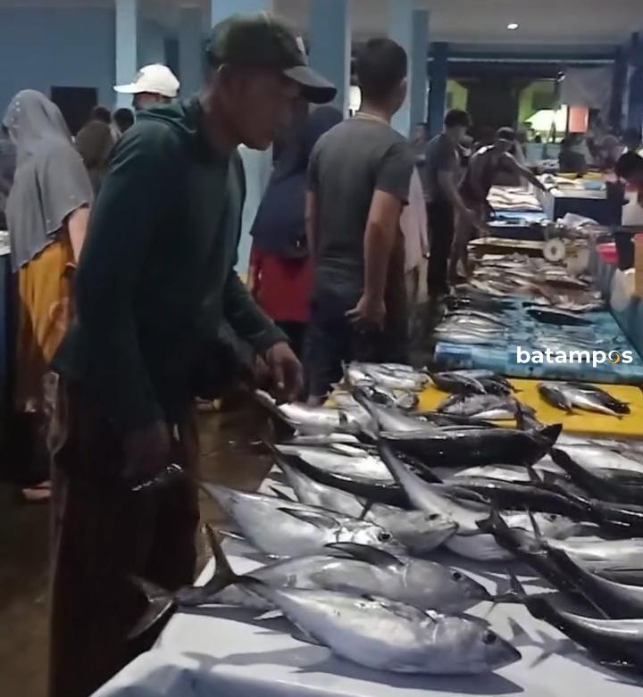 Ikan Tongkol Banjir di Anambas, Harga Anjlok Pedagang Merugi