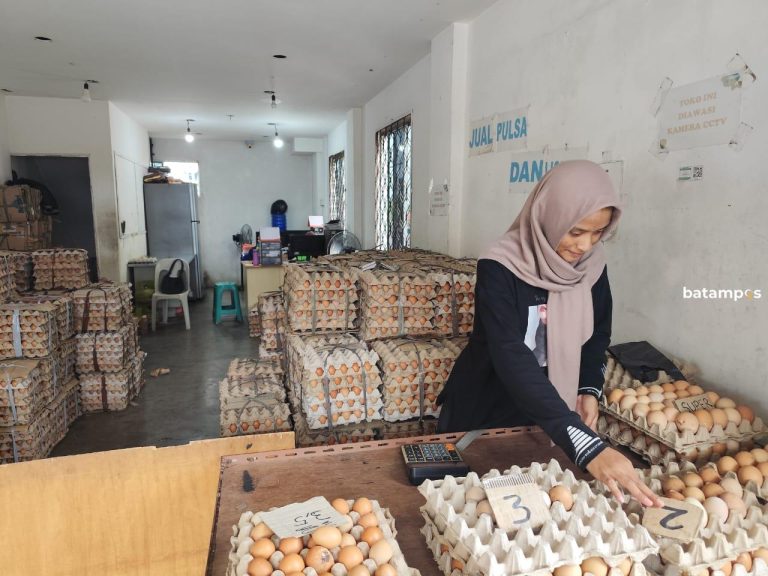Harga Telur Merangkak Naik Jelang Natal dan Tahun Baru