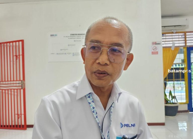 Pelni Siapkan 4 Kapal Layani Penumpang saat Nataru