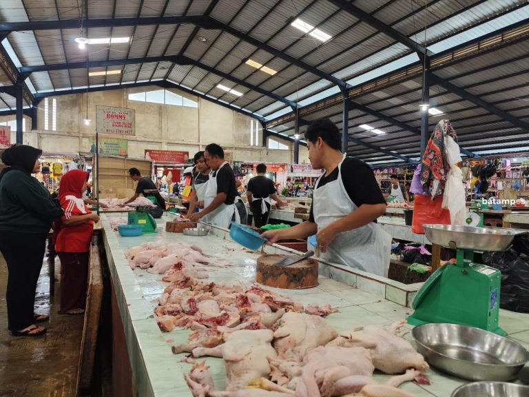 Harga Ayam Naik Lagi Jelang Natal, Kini Tembus Rp45 Ribu Per Kg
