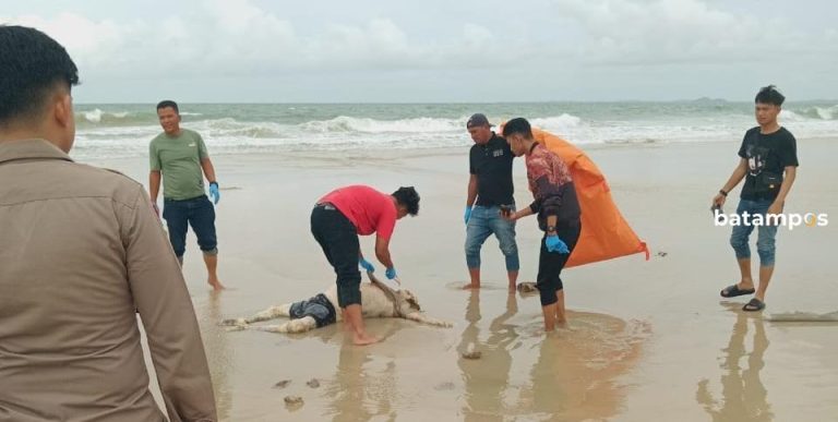 Mayat Laki-laki Ditemukan di Pesisir Pantai Movenpick Bintan Lagoon