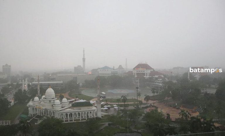 722 Kasus DBD selama Januari-Desember 2024, 13 Orang Meninggal