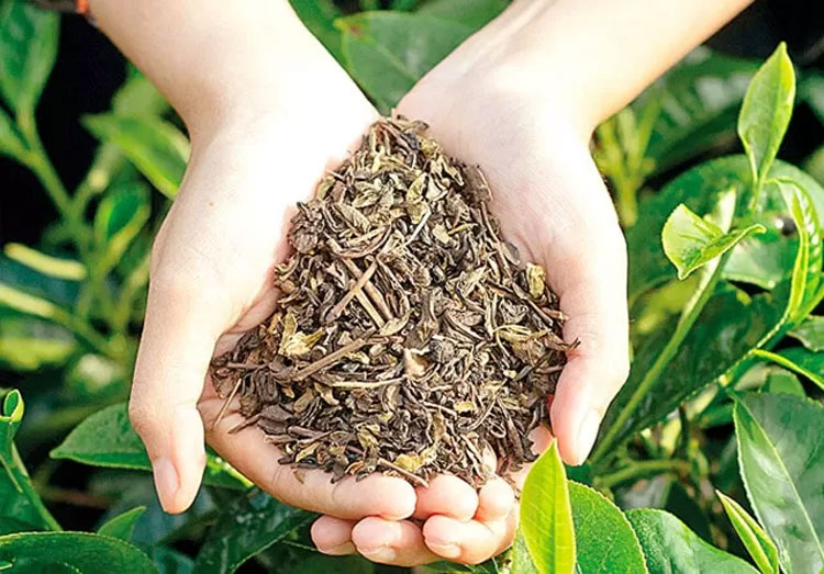 Kemendag Fasilitasi Akses Produk Teh ke Pasar Global