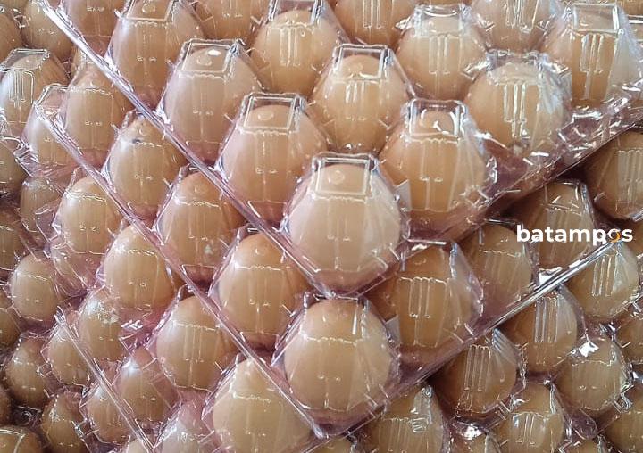 Pedagang Ikuti Harga Pemasok, Harga Telur Rp56 Ribu per Papan