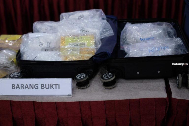 Detik-Detik Anjing K9 Bea Cukai Obrak-Abrik Kamar Hotel Pengendali Sabu di Batam