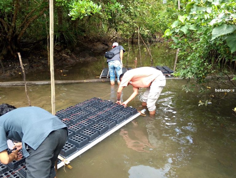 Generasi Millenial Buka Sekolah Untuk Warga Agar Bisa Budidaya Kepiting Bakau dan Lebah Madu Kelulut