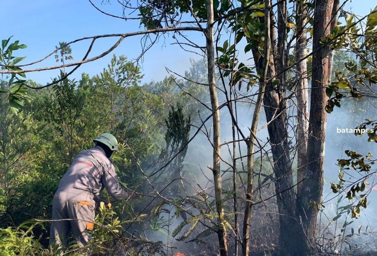 Kesulitan Akses, Petugas Damkar Tanjunguban Padamkan Api secara Manual di Lahan Terbakar di Bintan