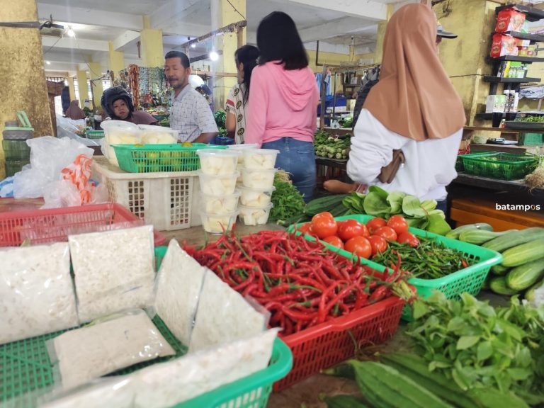 Harga Cabai Lokal di Lingga Capai Rp 100 Ribu Per Kg