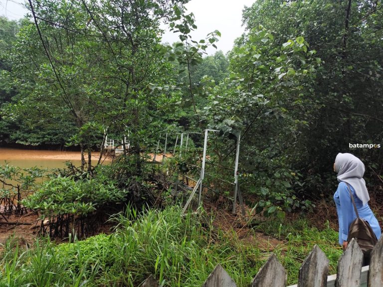 Warga Resah Buaya Kerap Muncul di Permukiman Jalan Nuri